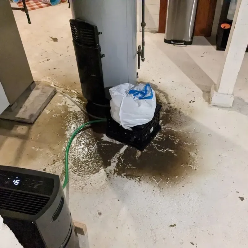 Sewage Backup Cleanup Service in Atkinson County, GA